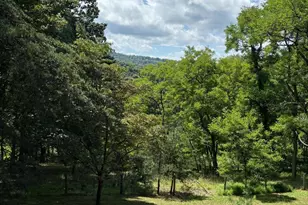 296 Hunting Ridge Rd, Mathias, WV 26812 - Photo 17