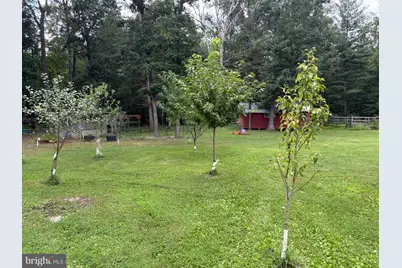 730 Grizzly Road, Mathias, WV 26812 - Photo 37