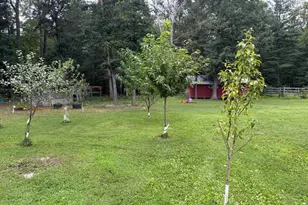 730 Grizzly Rd, Mathias, WV 26812 - Photo 37