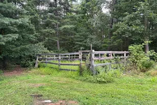730 Grizzly Rd, Mathias, WV 26812 - Photo 41
