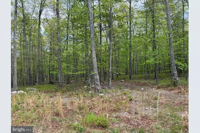 64 Trout Pass Park Road, Mathias, WV 26812 - Photo 7