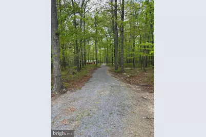 64 Trout Pass Park Road, Mathias, WV 26812 - Photo 11