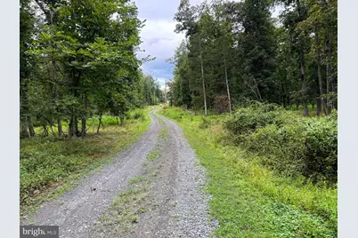 6859 US Highway 220 N, Old Fields, WV 26845 - Photo 75