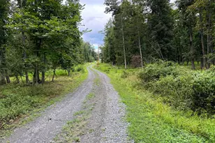 6859 US Highway 220 N, Old Fields, WV 26845 - Photo 75