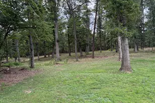 6859 US Highway 220 N, Old Fields, WV 26845 - Photo 83