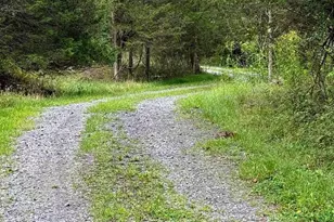 6859 US Highway 220 N, Old Fields, WV 26845 - Photo 75