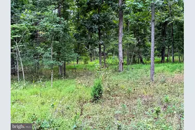 6859 US Highway 220 N, Old Fields, WV 26845 - Photo 79