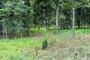 6859 US Highway 220 N, Old Fields, WV 26845 - Photo 79