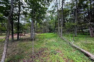 6859 US Highway 220 N, Old Fields, WV 26845 - Photo 73