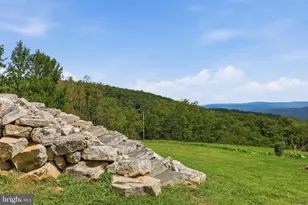 9704 Howards Lick Rd, Mathias, WV 26812 - Photo 43