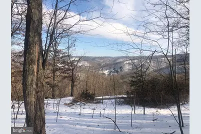 21 Lost River Bluffs, Mathias, WV 26812 - Photo 9