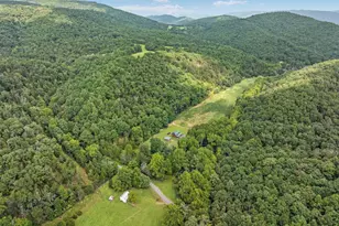 1396 Cullers Run Rd, Mathias, WV 26812 - Photo 69