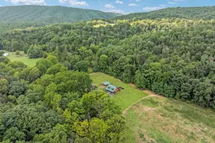 1396 Cullers Run Rd, Mathias, WV 26812 - Photo 77