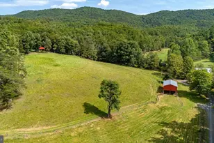 801 Moyers Ln, Mathias, WV 26812 - Photo 67