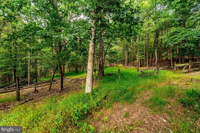 801 Moyers Lane, Mathias, WV 26812 - Photo 141
