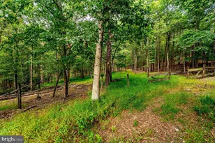 801 Moyers Ln, Mathias, WV 26812 - Photo 141