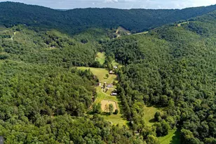 801 Moyers Ln, Mathias, WV 26812 - Photo 59