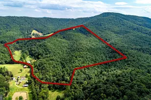 916 Moyers Ln, Mathias, WV 26812 - Photo 53