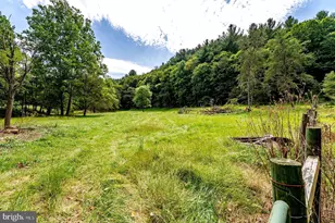 916 Moyers Ln, Mathias, WV 26812 - Photo 79