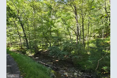 1 Acre Adjoining Lost River State Park, Mathias, WV 26812 - Photo 27