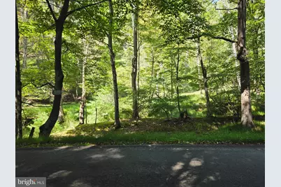 1 Acre Adjoining Lost River State Park, Mathias, WV 26812 - Photo 7