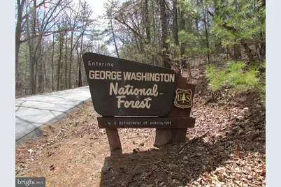 1 Acre Adjoining Lost River State Park, Mathias, WV 26812 - Photo 31