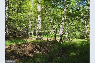 1 Acre Adjoining Lost River State Park, Mathias, WV 26812 - Photo 25