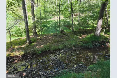 1 Acre Adjoining Lost River State Park, Mathias, WV 26812 - Photo 9