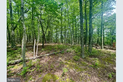 5620 High Knob Road, Old Fields, WV 26845 - Photo 13