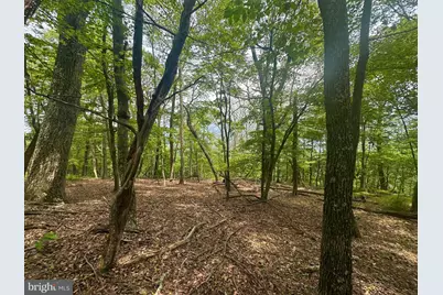 5620 High Knob Road, Old Fields, WV 26845 - Photo 11