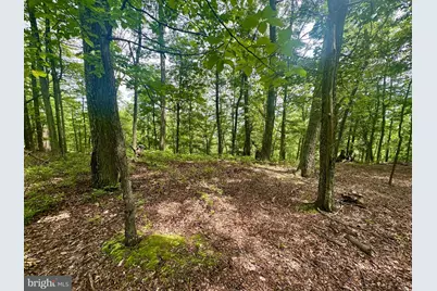 5620 High Knob Road, Old Fields, WV 26845 - Photo 17
