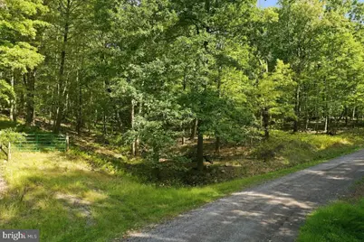 Lot 46 Old Poplar Drive, Baker, WV 26801 - Photo 3
