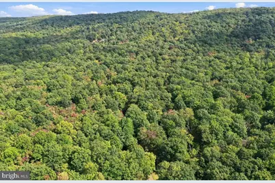 Lot 46 Old Poplar Drive, Baker, WV 26801 - Photo 11
