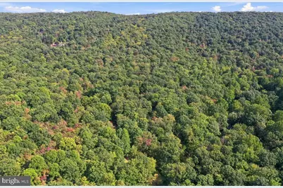 Lot 46 Old Poplar Drive, Baker, WV 26801 - Photo 9