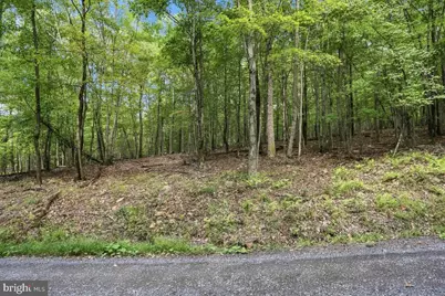 Lot 46 Old Poplar Drive, Baker, WV 26801 - Photo 7