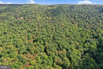 Lot 46 Old Poplar Drive, Baker, WV 26801 - Photo 13