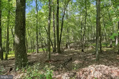 Lot 69 Red Maple Drive, Baker, WV 26801 - Photo 1