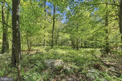 Lot 63 Hemlock Drive, Baker, WV 26801 - Photo 5