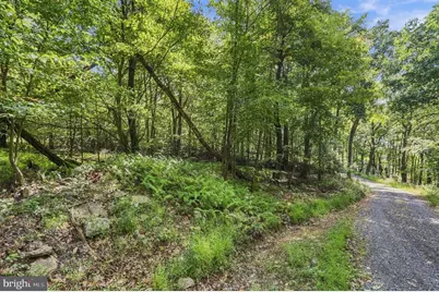 Lot 63 Hemlock Drive, Baker, WV 26801 - Photo 9