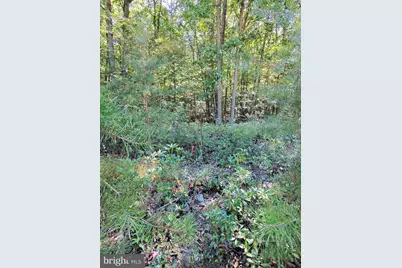 Lot 12 Pine Ridge Extension, Wardensville, WV 26851 - Photo 7