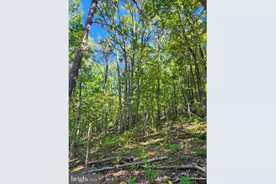 Lot 12 Pine Ridge Extension, Wardensville, WV 26851 - Photo 19