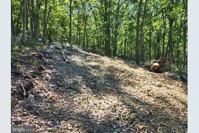Lot 12 Pine Ridge Extension, Wardensville, WV 26851 - Photo 21