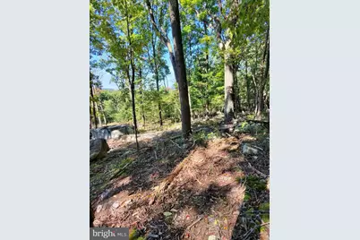 Lot 13 Pine Ridge Extension, Wardensville, WV 26851 - Photo 59