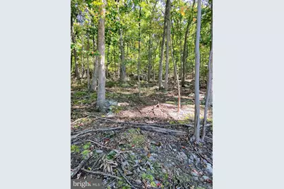 Lot 13 Pine Ridge Extension, Wardensville, WV 26851 - Photo 57