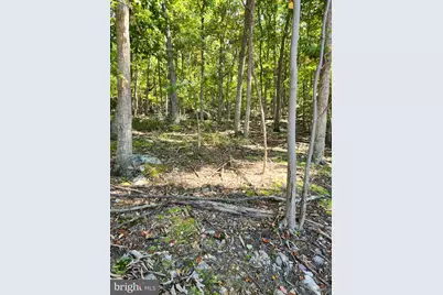 Lot 13 Pine Ridge Extension, Wardensville, WV 26851 - Photo 63