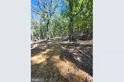 Lot 13 Pine Ridge Extension, Wardensville, WV 26851 - Photo 37