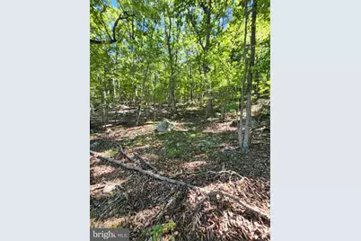 Lot 13 Pine Ridge Extension, Wardensville, WV 26851 - Photo 35