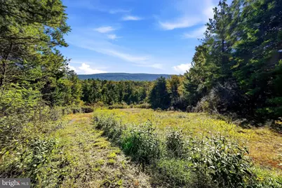 Lot 4 Brooke Trout Drive, Wardensville, WV 26851 - Photo 1
