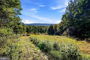Lot 4 Brooke Trout Dr, Wardensville, WV 26851 - Photo 1
