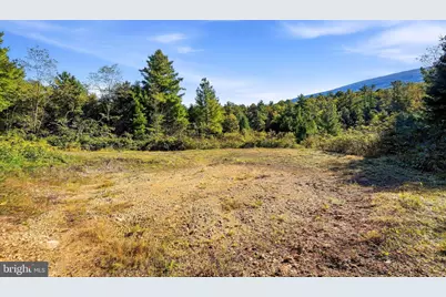Lot 4 Brooke Trout Drive, Wardensville, WV 26851 - Photo 7